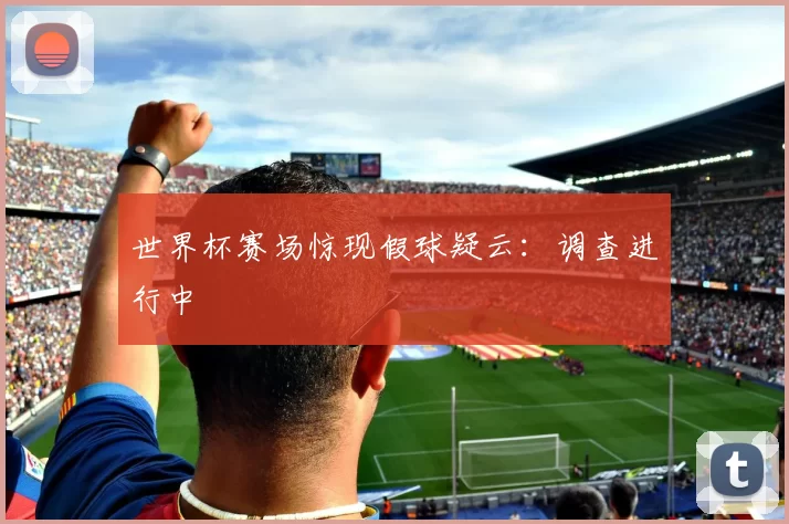 世界杯赛场惊现假球疑云：调查进行中