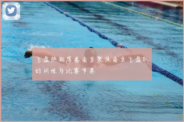 飞盘热潮席卷南京聚焦南京飞盘队的训练与比赛节奏
