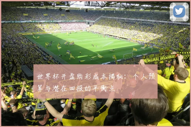 世界杯开盘购彩成本揭秘:个人预算与潜在回报的平衡点