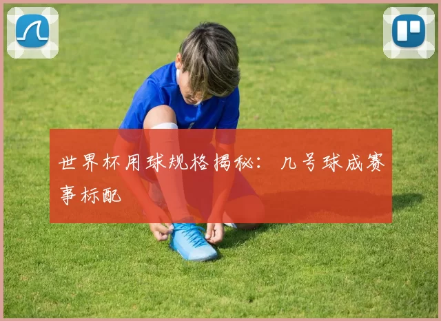 世界杯用球规格揭秘：几号球成赛事标配