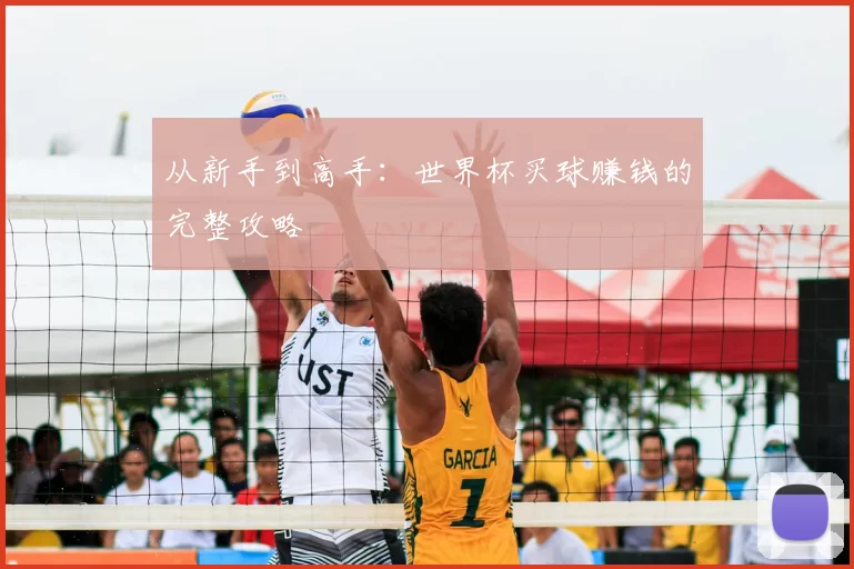 从新手到高手:世界杯买球赚钱的完整攻略