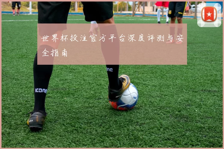 世界杯投注官方平台深度评测与安全指南