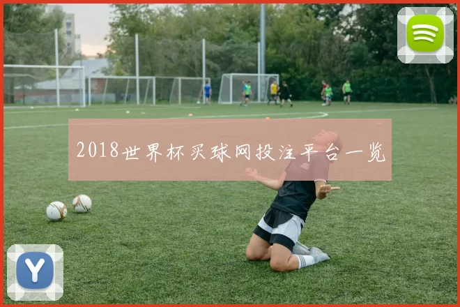 2018世界杯买球网投注平台一览