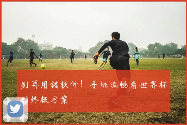 别再用错软件!手机流畅看世界杯的终极方案