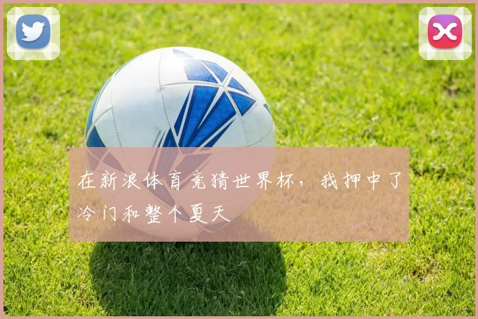 在新浪体育竞猜世界杯，我押中了冷门和整个夏天