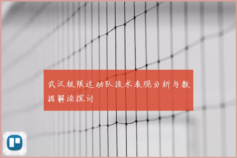 武汉极限运动队技术表现分析与数据解读探讨