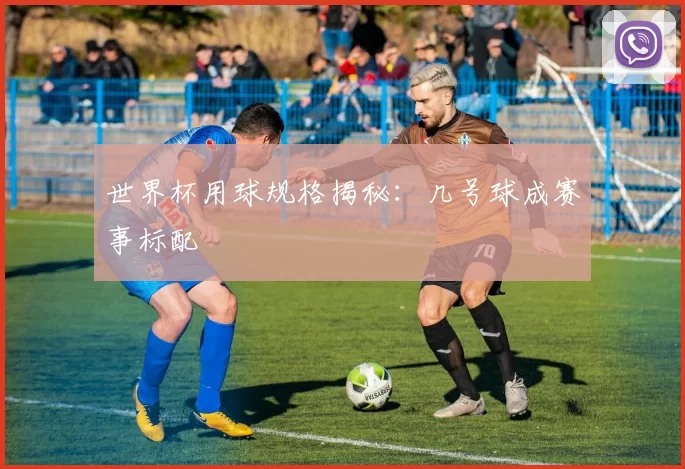 世界杯用球规格揭秘：几号球成赛事标配