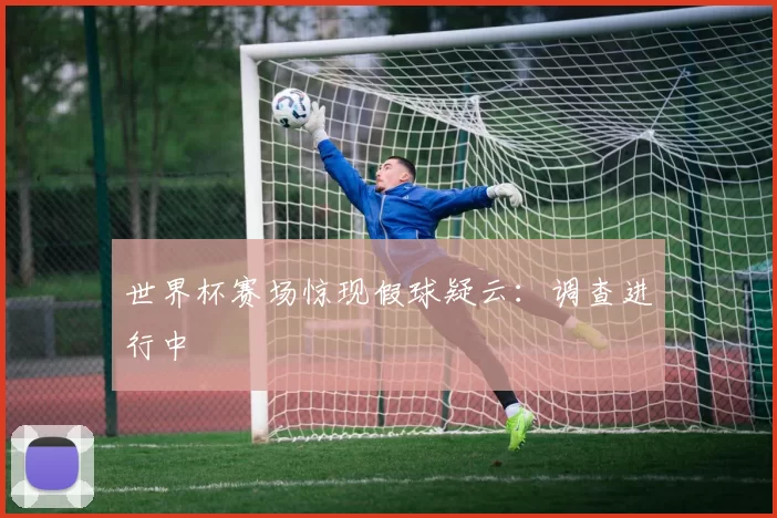 世界杯赛场惊现假球疑云：调查进行中