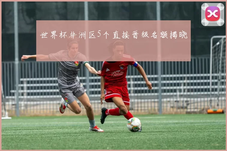世界杯非洲区5个直接晋级名额揭晓