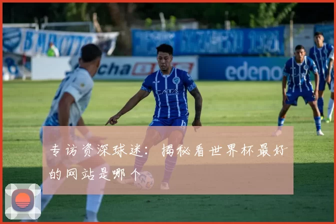 专访资深球迷：揭秘看世界杯最好的网站是哪个