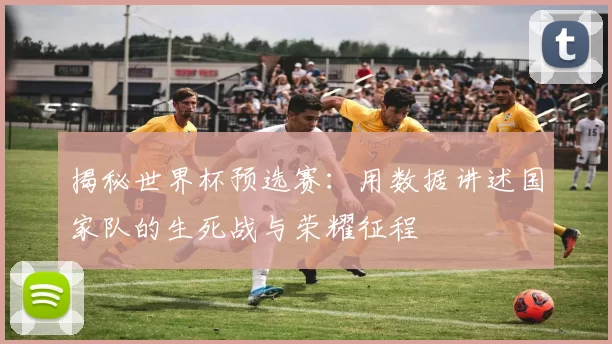 揭秘世界杯预选赛:用数据讲述国家队的生死战与荣耀征程