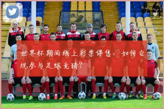 世界杯期间线上彩票停售，如何合规参与足球竞猜？